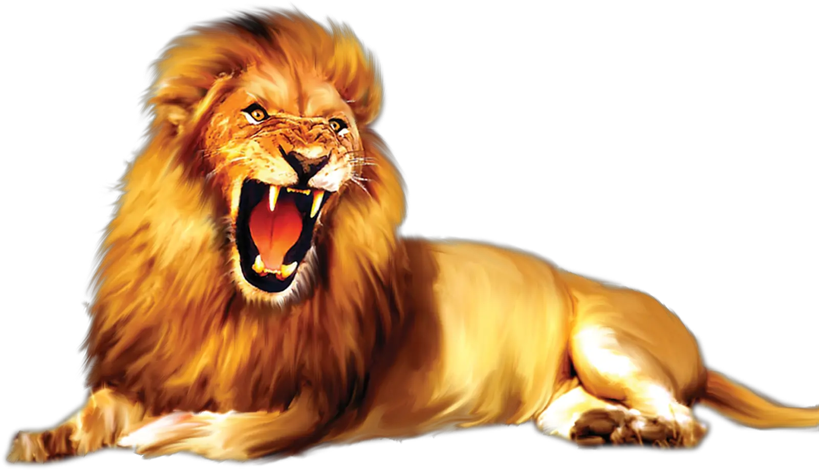 Lion Png