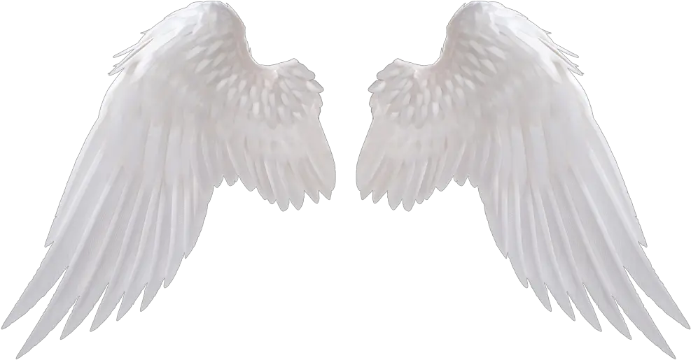 Angel Wings Png Download Image 1 Vector