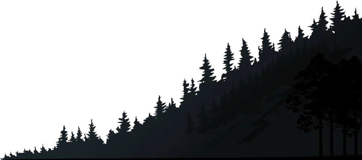 Pine Forest Silhouette Png