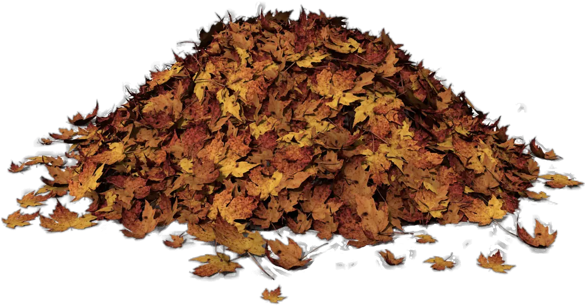 Autumn Leaves Pile Of Leaves Png