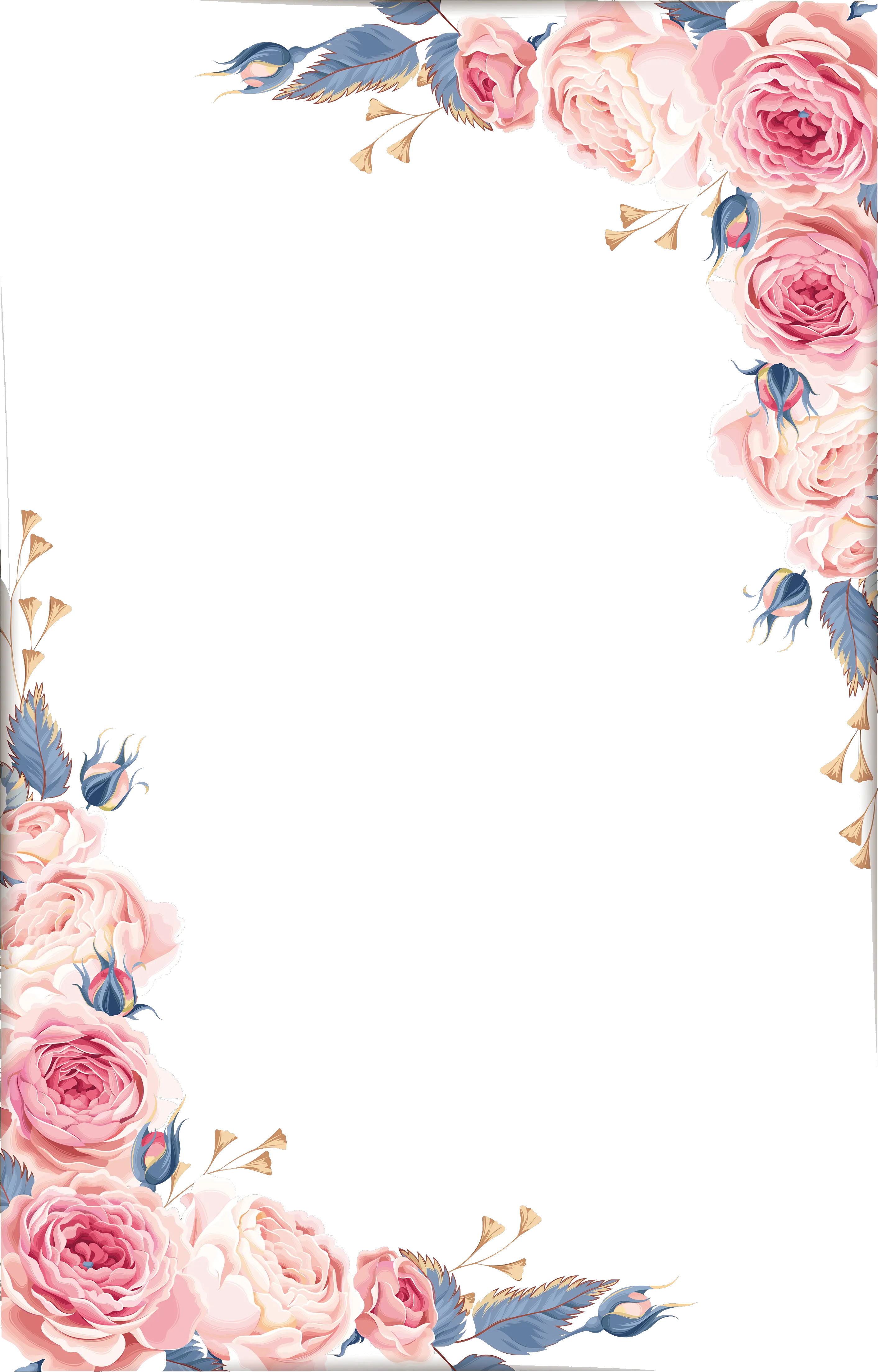 Floral Frame Png Floral Frame Png Hd