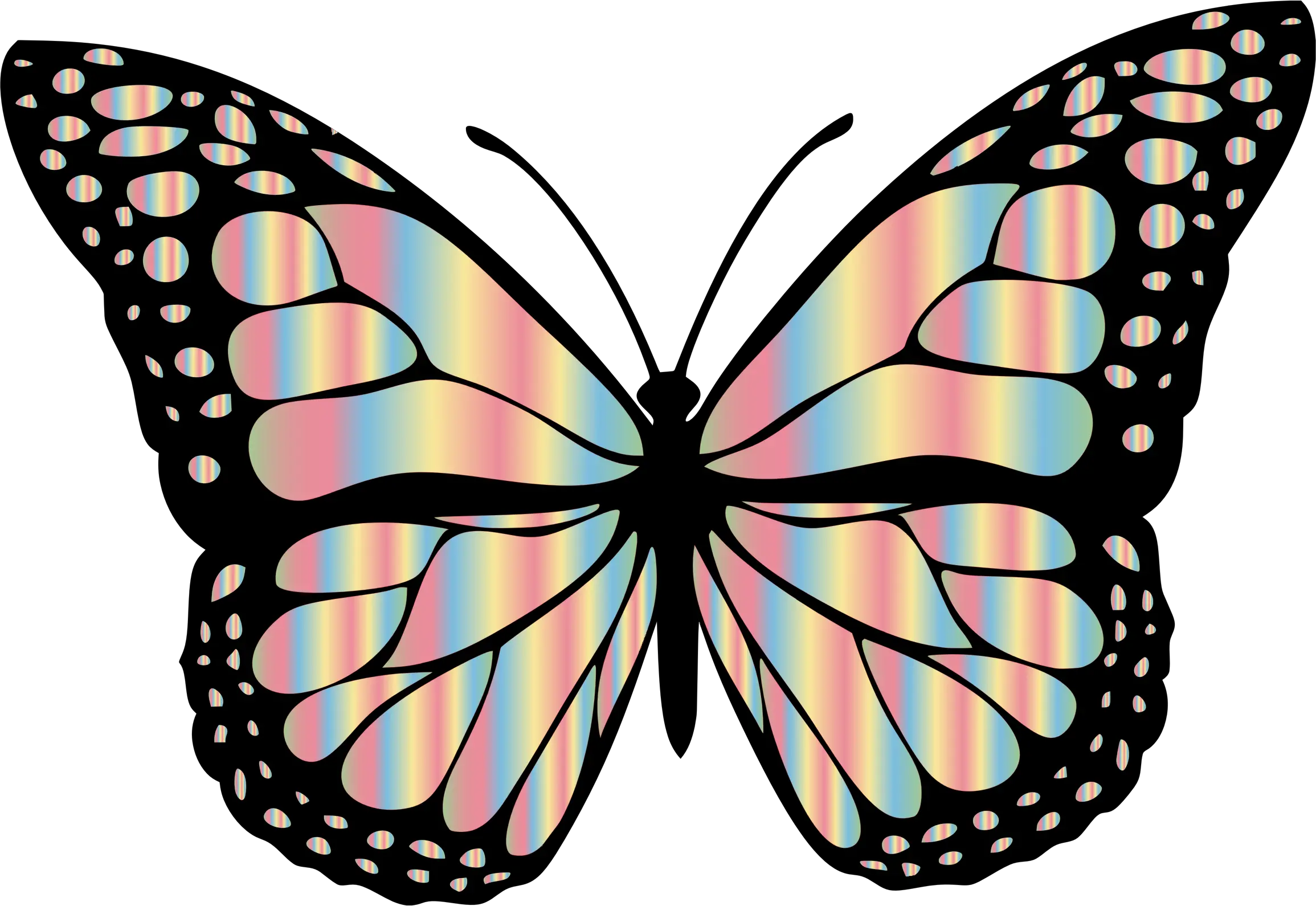 Transparent Free Butterfly Png Black And Grey Butterfly