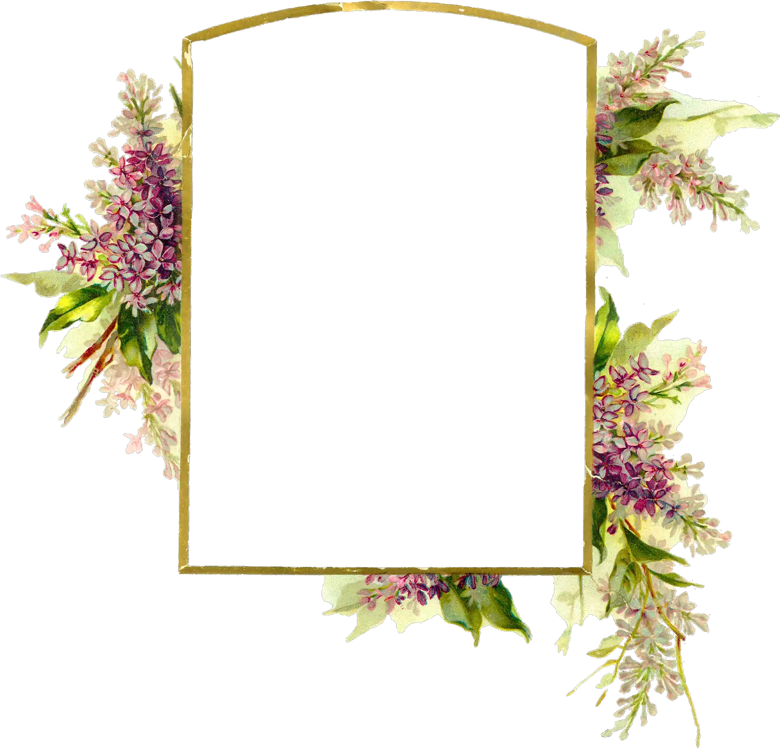 Floral Frame Png Transparent Background Floral Frame