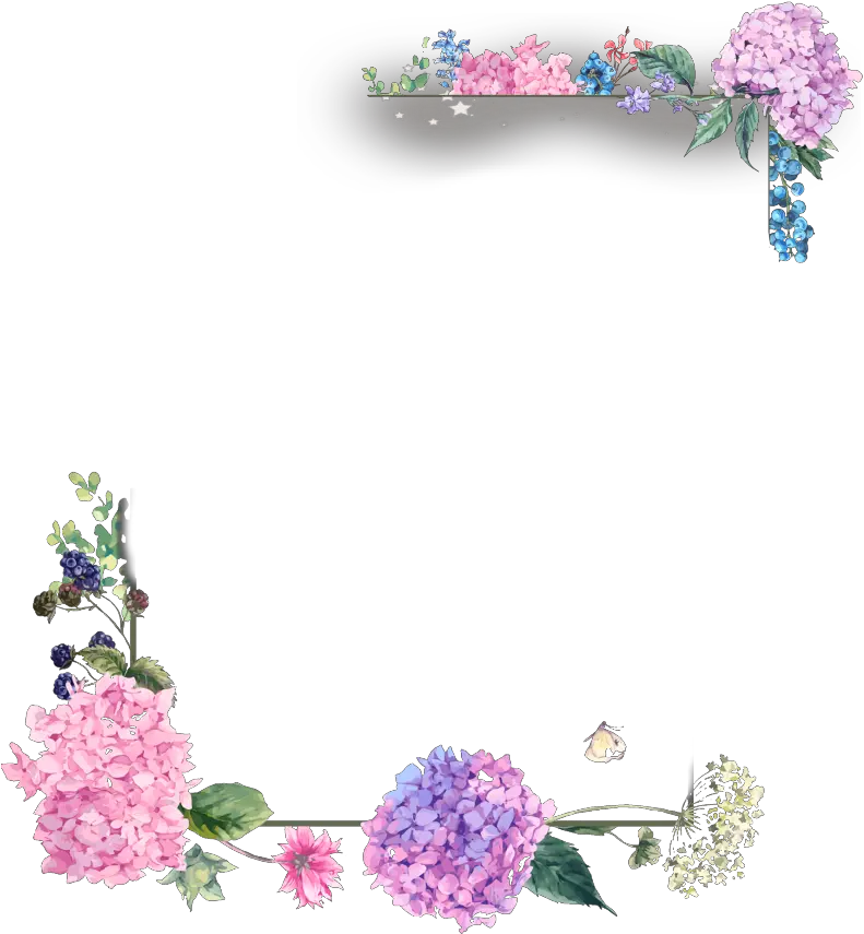 mq flower flowers border borders frame frames Square Floral Frame Png