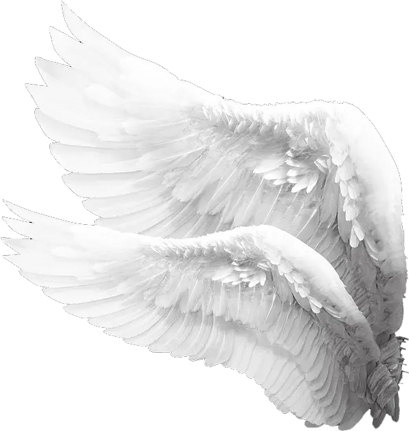 Alas De Angel Png