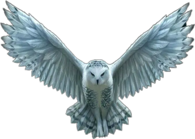 Transparent Hedwig Png Transparent Harry Potter Owl Flying