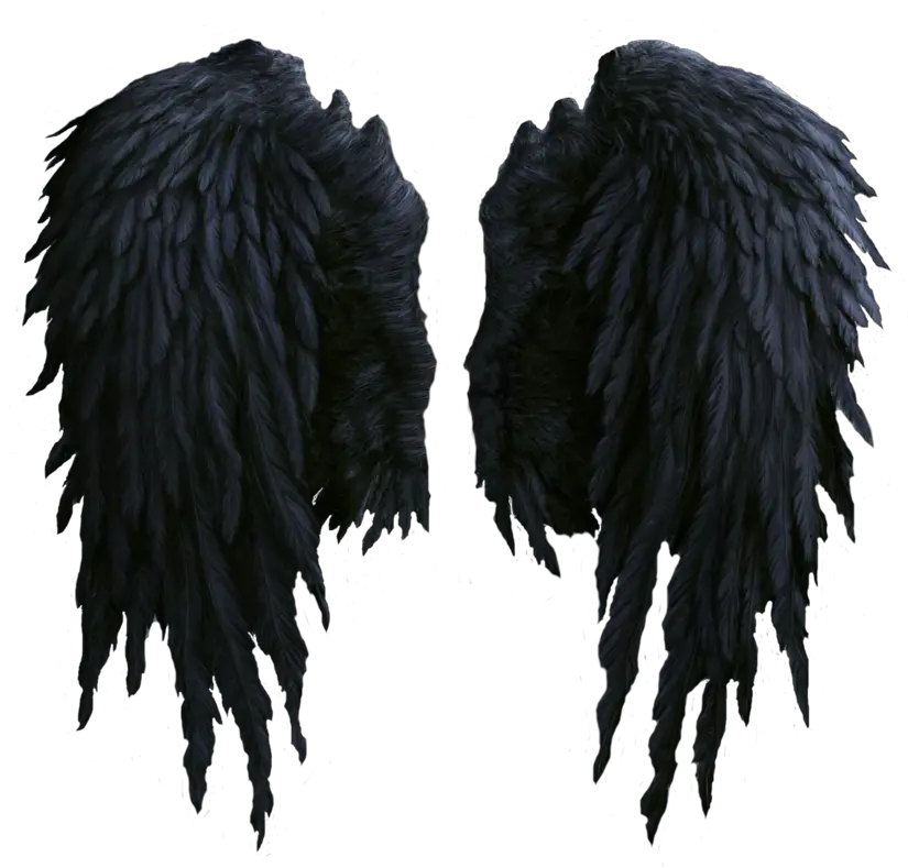 Black Wings Png Image Realistic Black Angel Wings Png