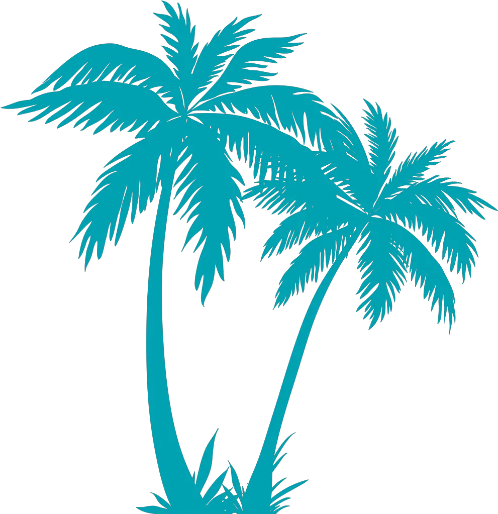 Transparent Palm Tree Plan Png Palm Tree Vector Png