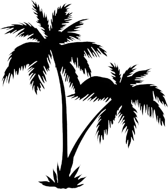 Palm Tree Silhouette Png