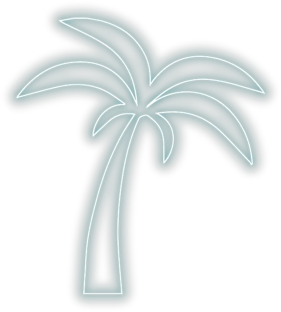 Transparent Neon Palm Tree