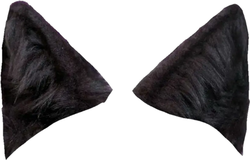 Wolf Ears Png Black Wolf Ears Png