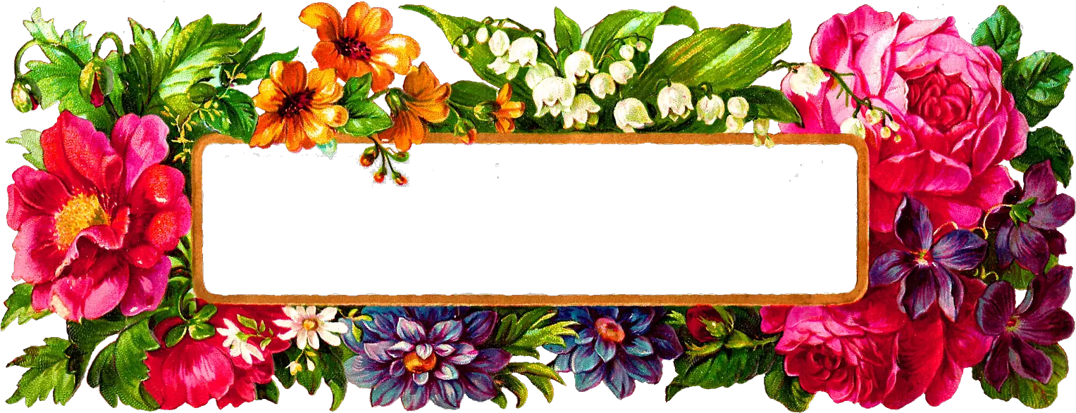 Flower Photo Frame Design Png Rectangle Floral Frame Png