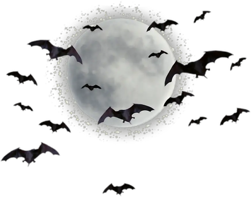 Bat Png Transparent Images Moon And Bats Png