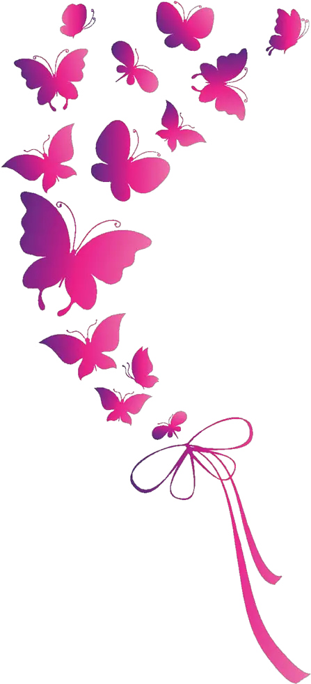 Vector Pink Butterfly Png