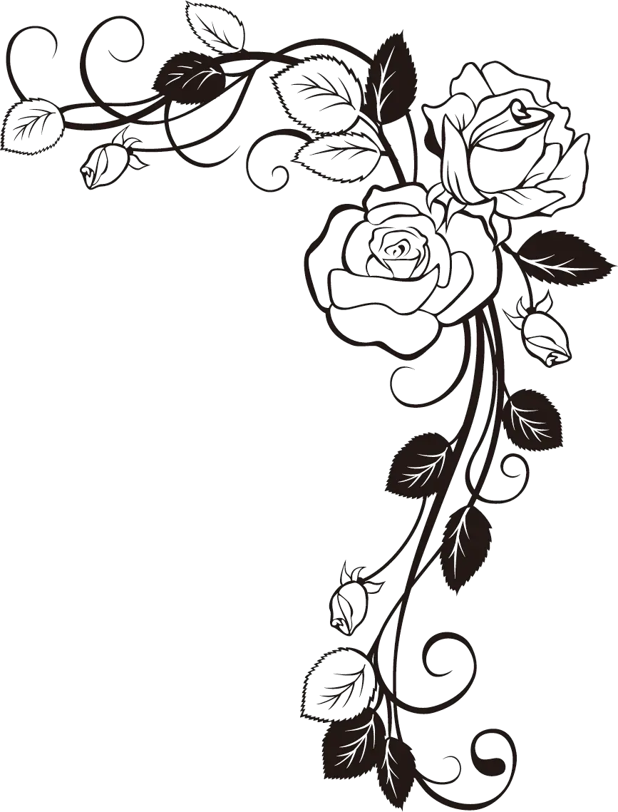 Free Download Best Rose Border Design For Project