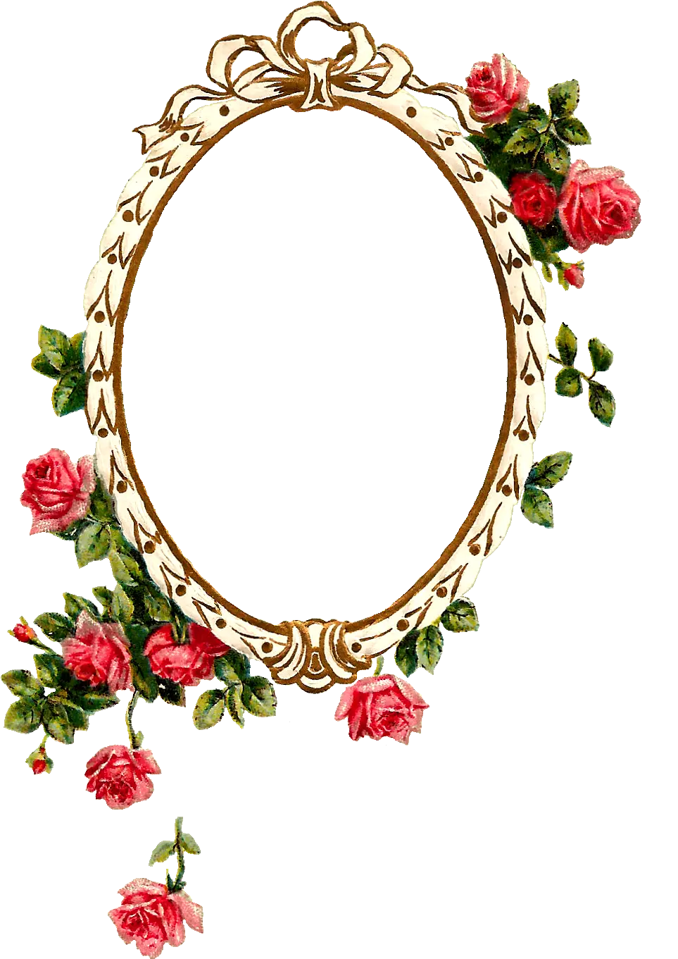 Transparent Oval Frame Png Oval Flower Frame Png