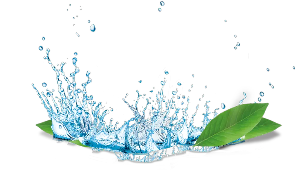 Splash Water Flower Transparent Material Splash Water Png Hd