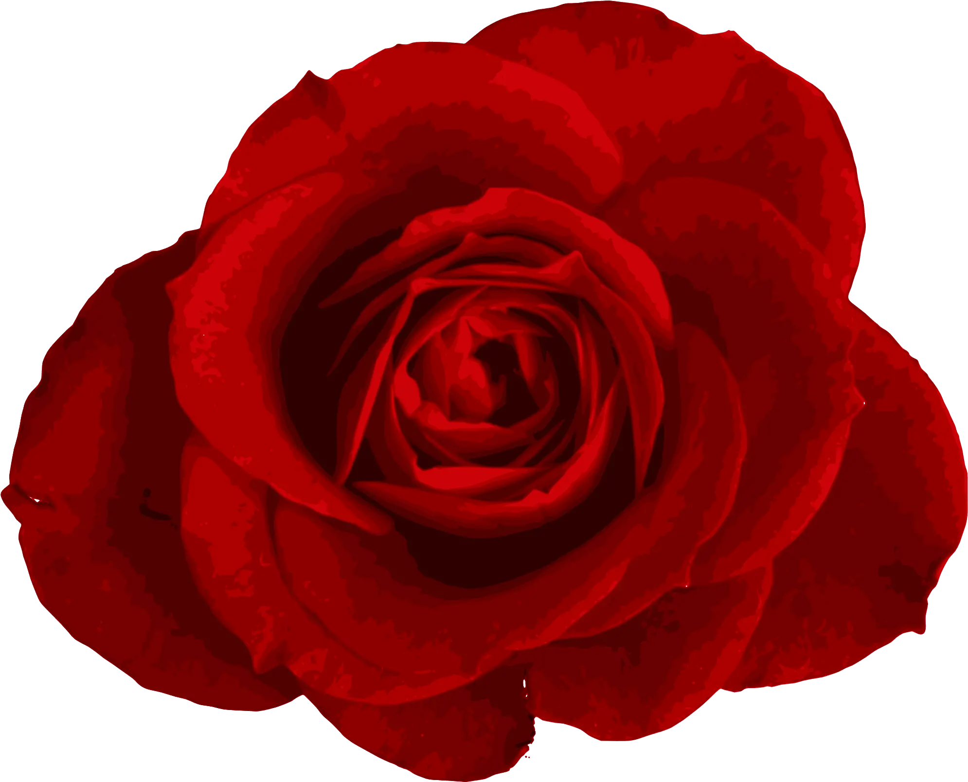 Transparent Background Rose Png