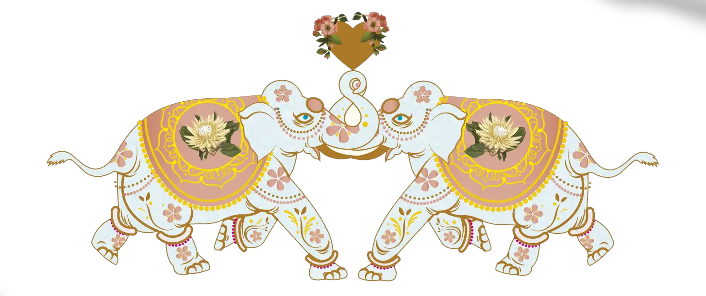 Transparent Wedding Elephant Png