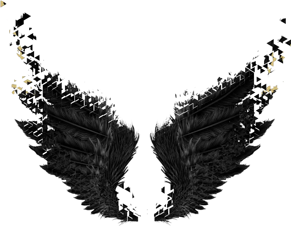 wings black gold dark angel fairytail Black Angel Wing Transparent