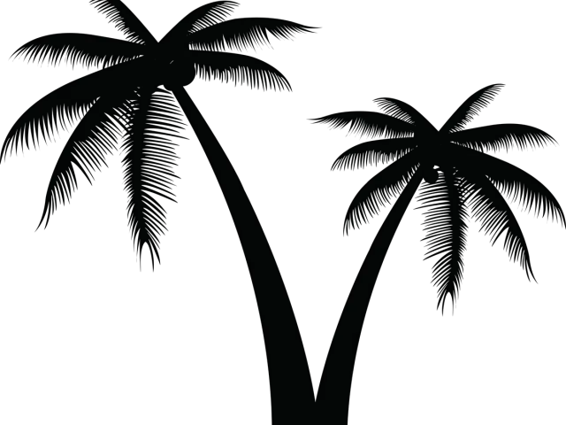 Transparent Tree Vector Png Vector Palm Tree Png