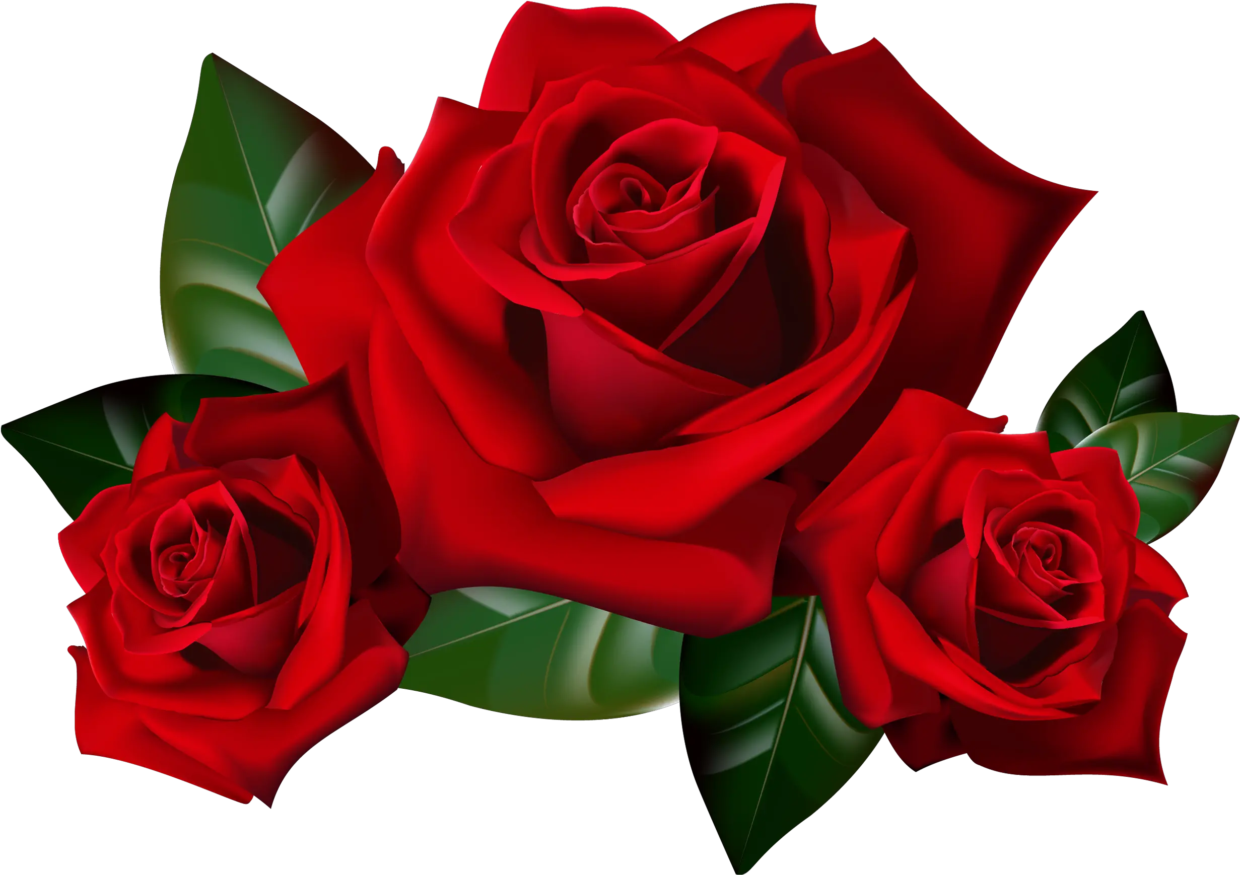 Red Rose Png Download Red Roses Clip Art