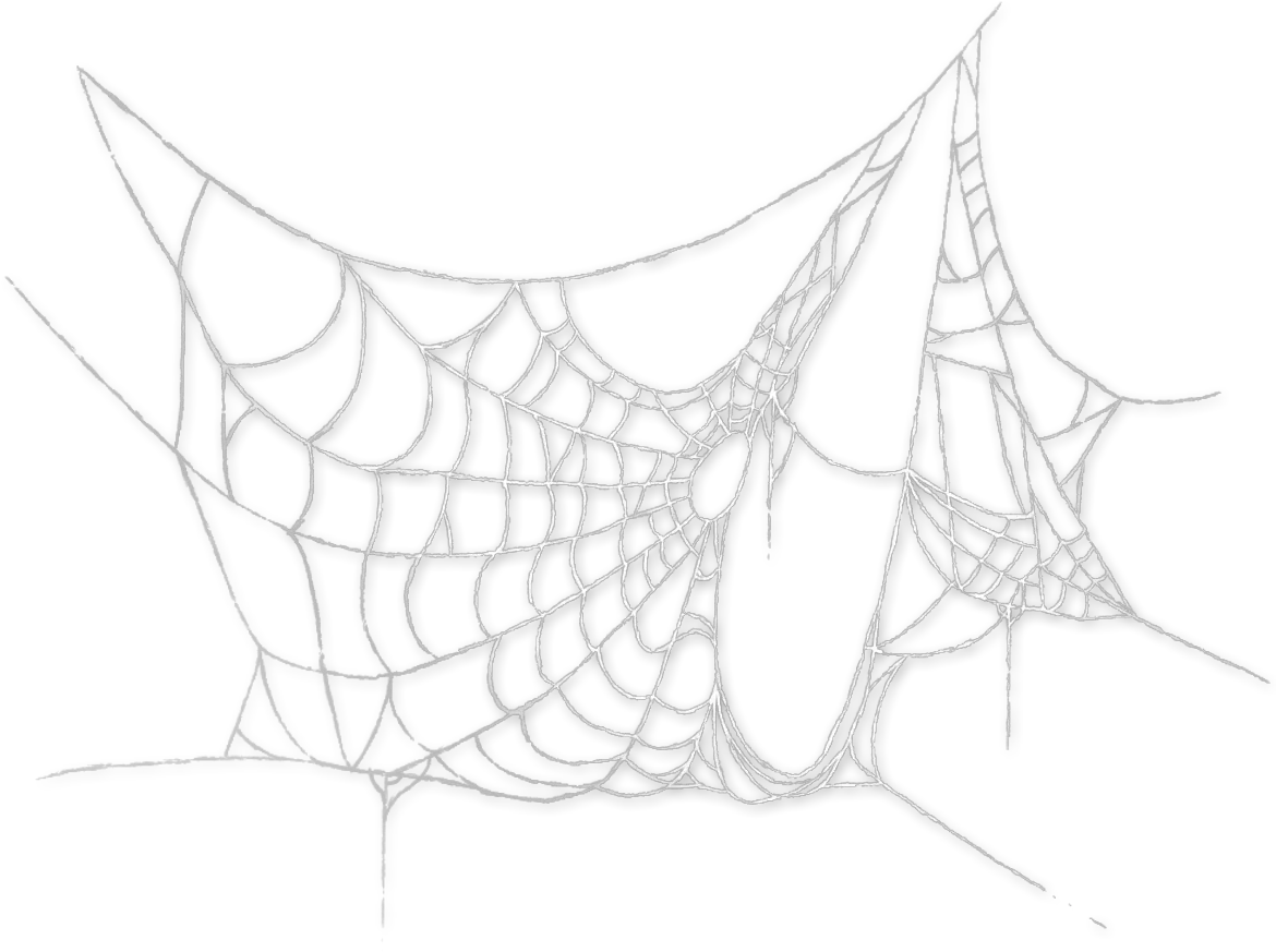 spider spiderweb cobweb spooky halloween