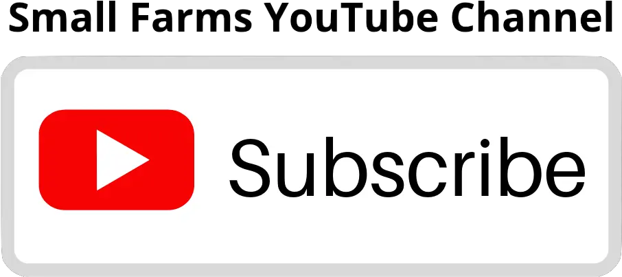 Youtube Subscribe Button Subscribe Button Youtube