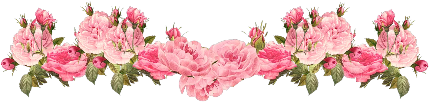 Vintage Pink Free Rose Flower Bottom Border Png