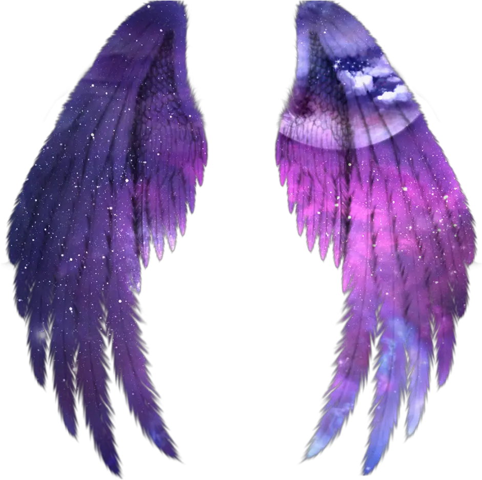 wings angel angelwings space galaxy stars star Angel Black Wings