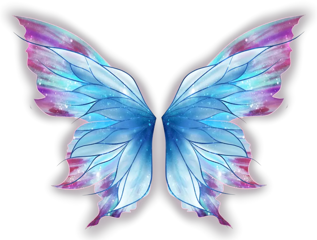 New Butterfly Wings Png