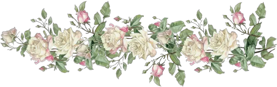 White Rose Border Png Border Vintage Flowers Png