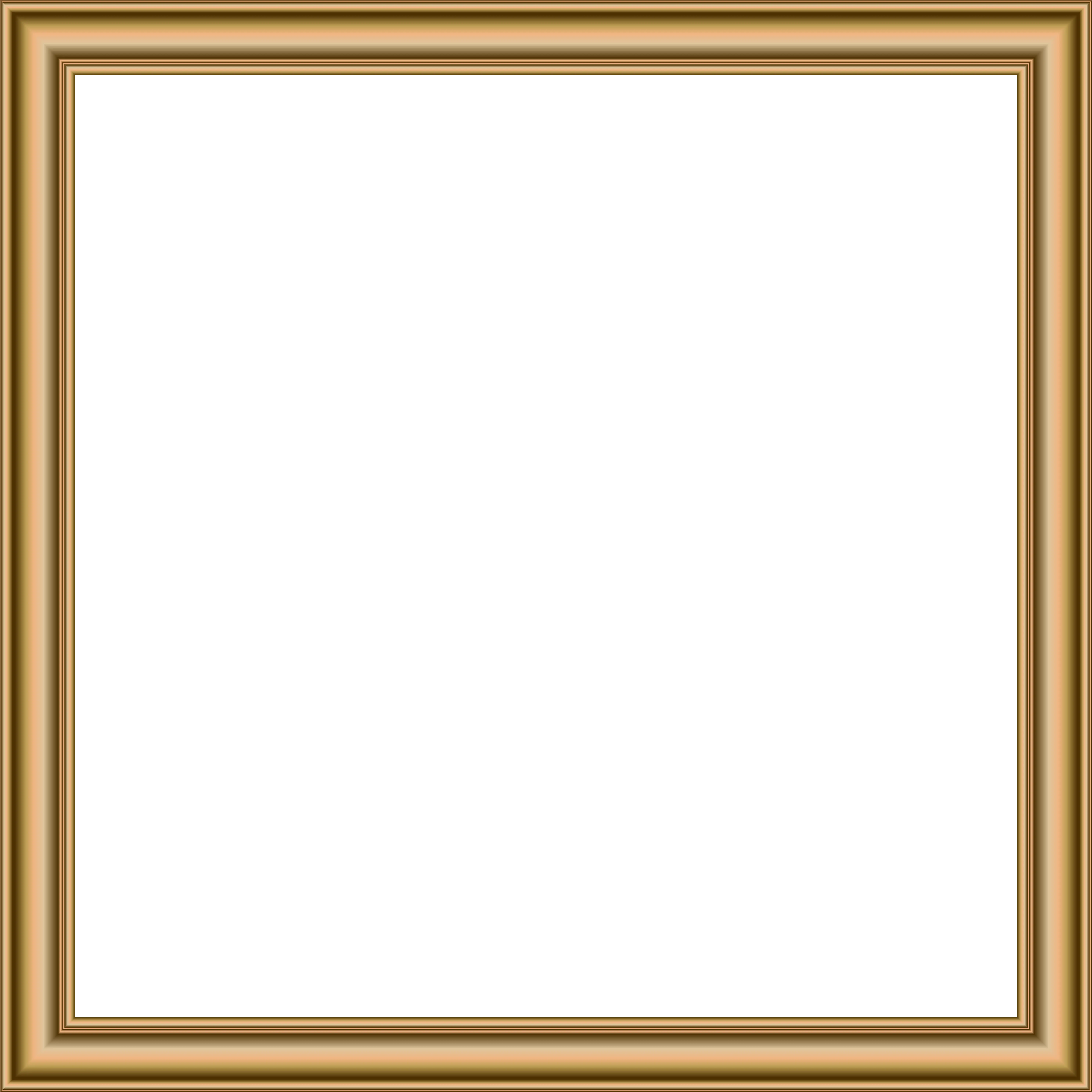 Picture Frame Square Text Area Pattern Gold Rectangular Frame