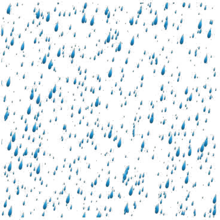 Transparent Background Rain Drops