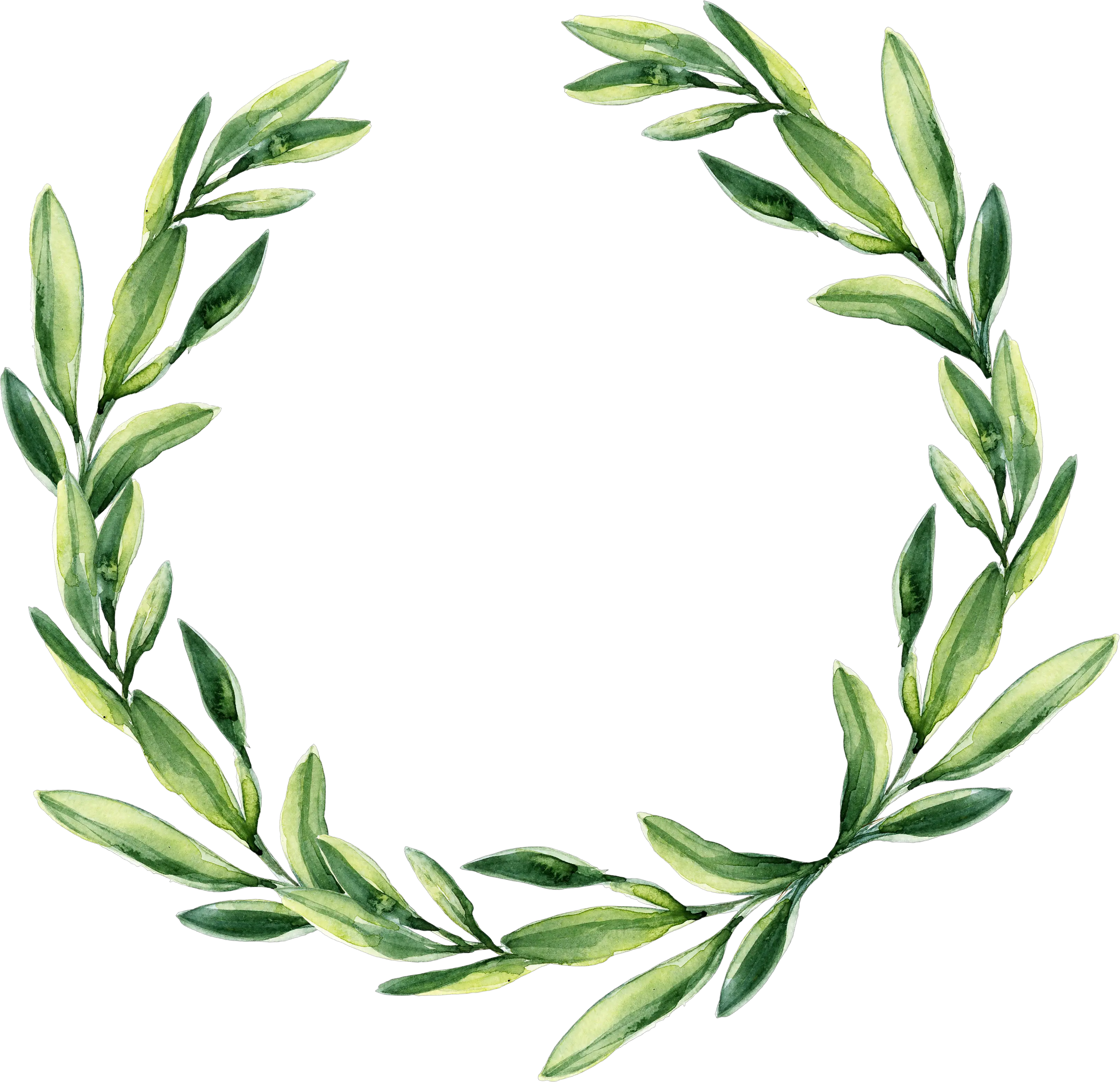 Leaf Garland Gift Wreath Watercolor Green Wedding Clipart Transparent Background Leaf Wreath Clipa