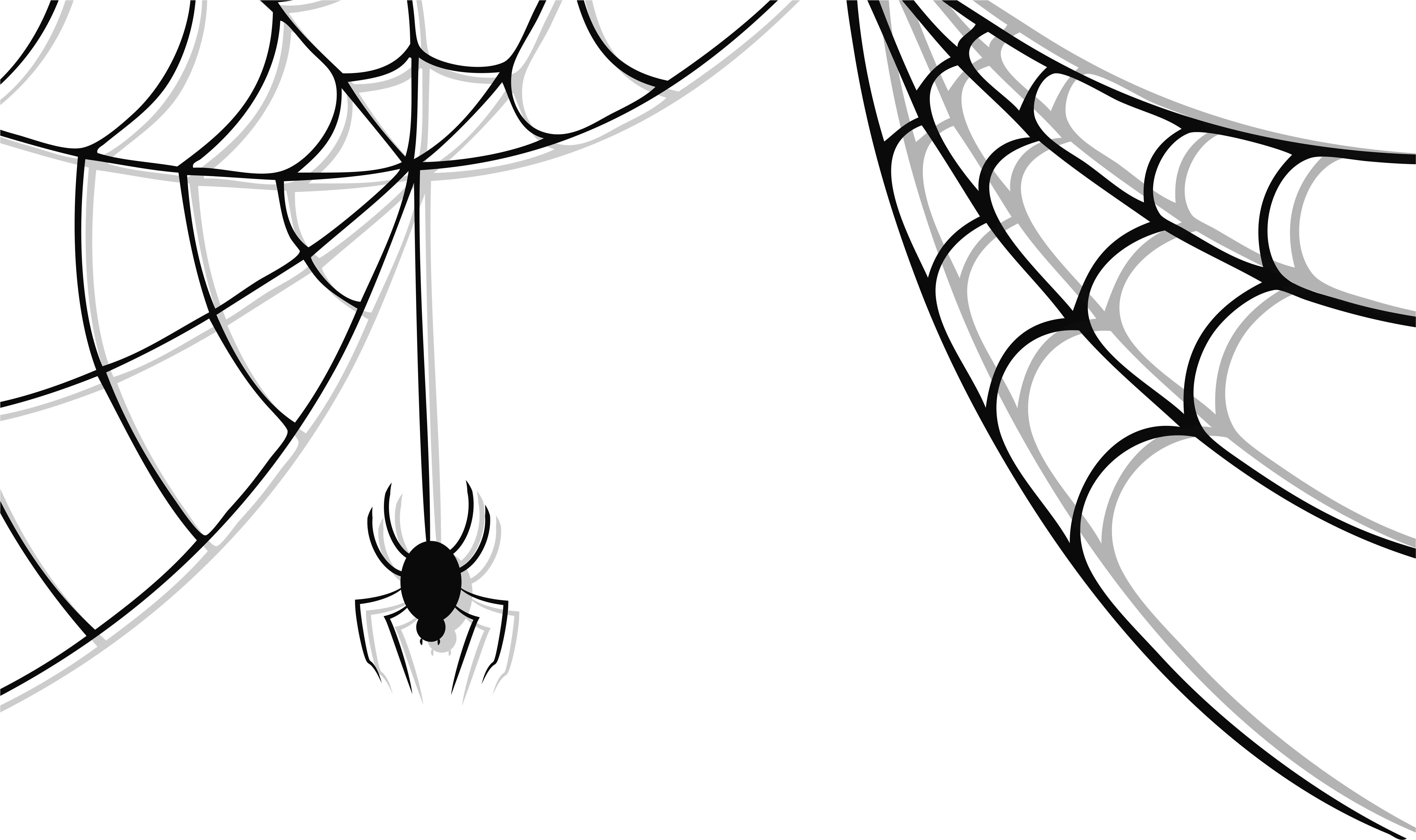 Collection Of Web Transparent Background Spider Web Png