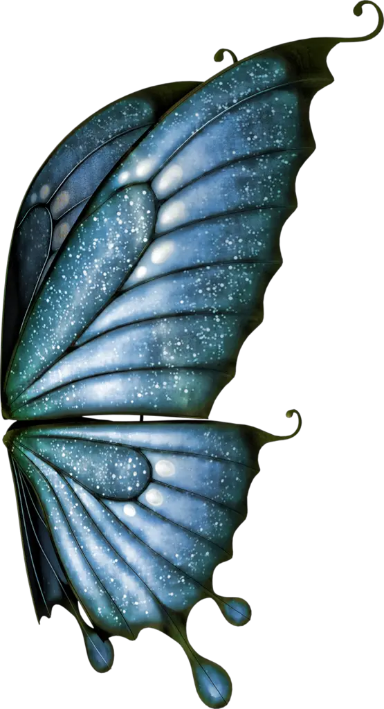 Transparent Butterfly Wings Png