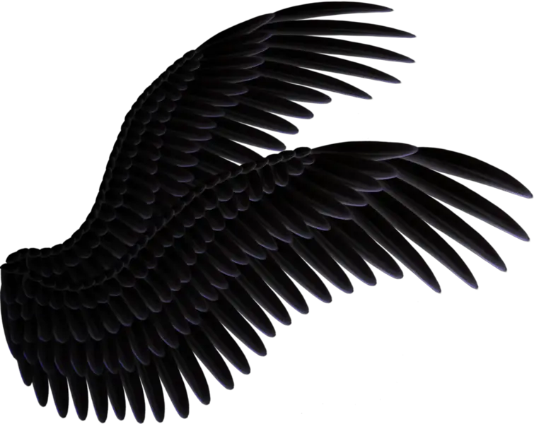 Crow Wings Png Angel Wings Black Png