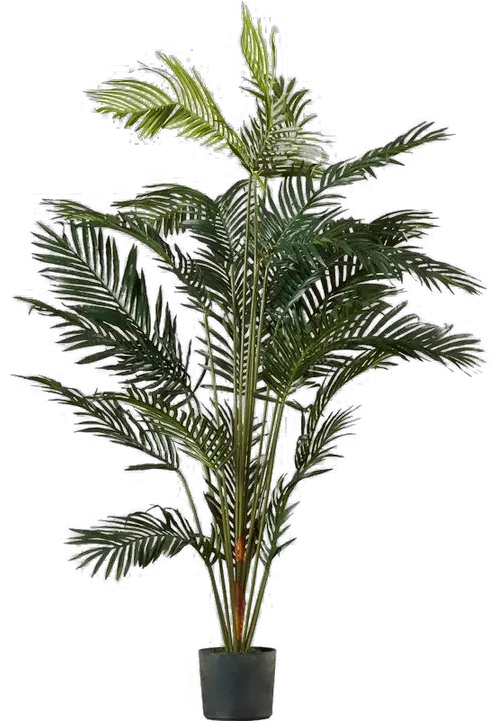 Palm Tree Png Image Transparent Palm Tree Pot Transparent Background