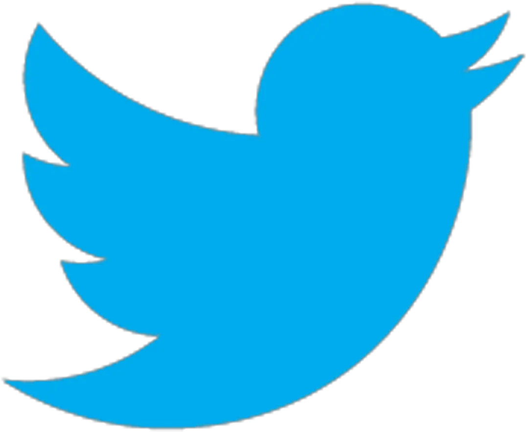 Twitter Bird Icon Png