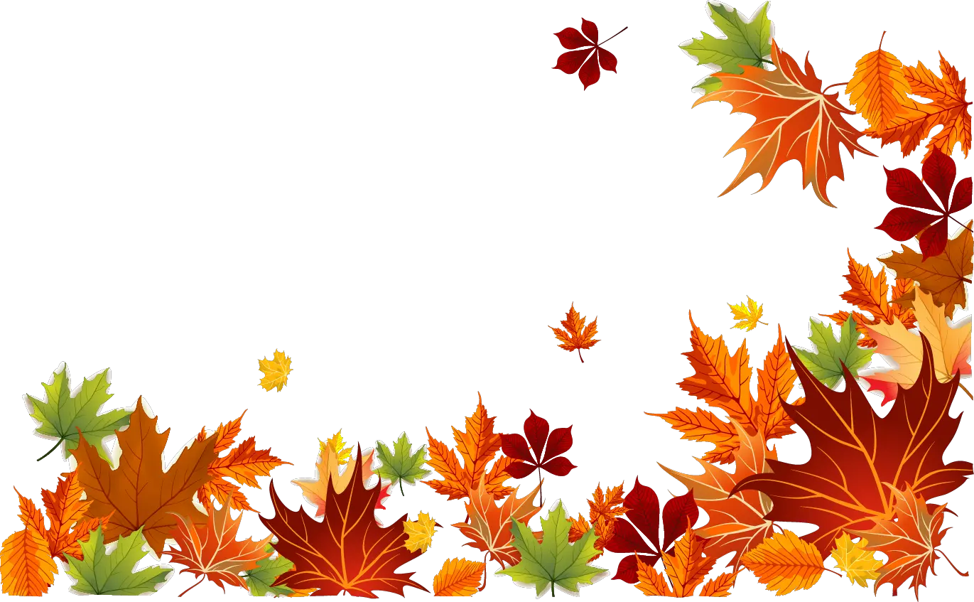 Leaf Color Leaves Autumn Euclidean Vector Clipart Transparent Fall Leaves Background