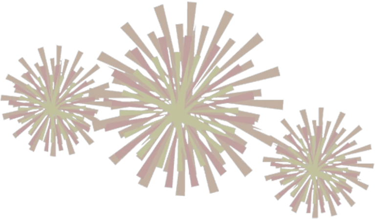 Fireworks Animation Clip Art Firework Gif Transparent Background