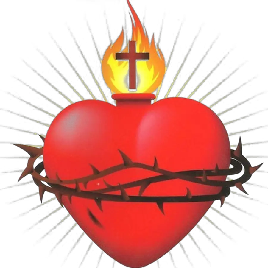 Transparent Sacred Heart Of Jesus Clipart Sacred Heart Catholic Symbol