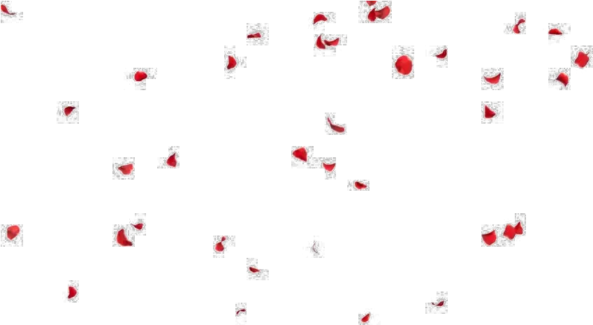 Falling Petals Png File Falling Rose Petals Png