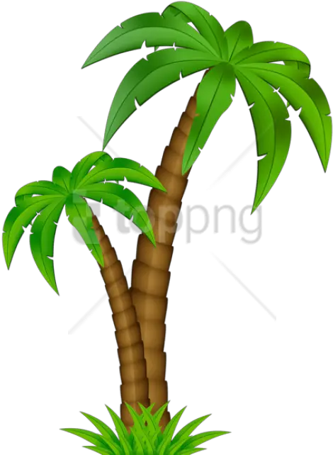 Cartoon Tree Transparent Background Cartoon Transparent Palm Tree Png