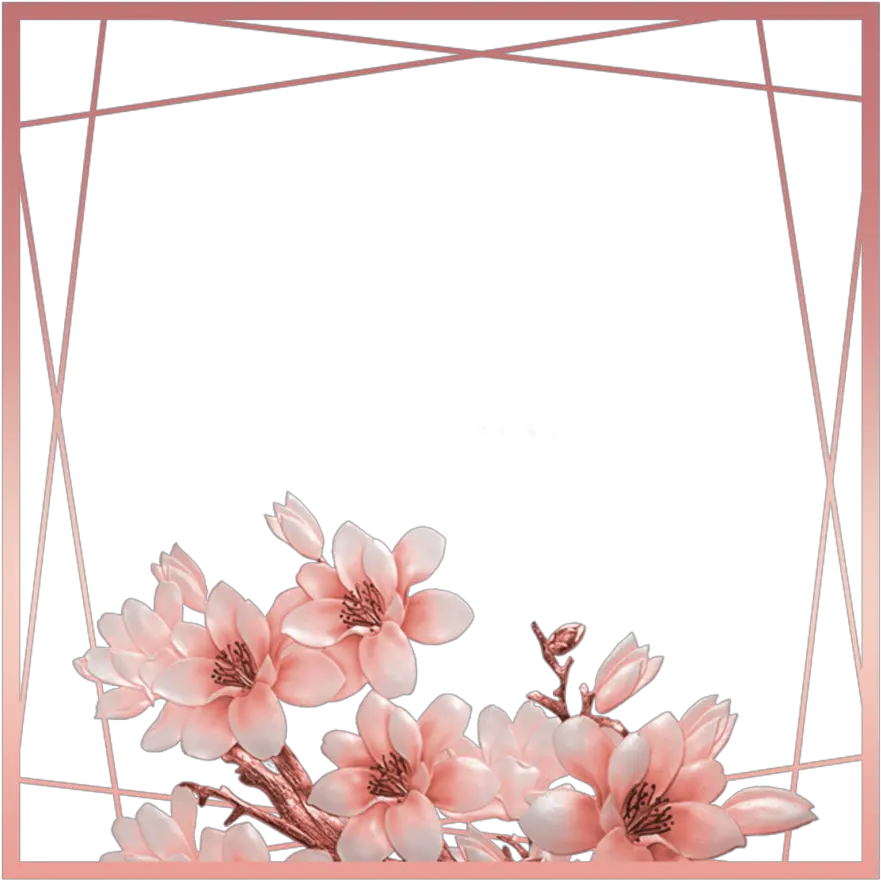 ftestickers flowers frame borders rosegold pink Rose Gold Border Transparent