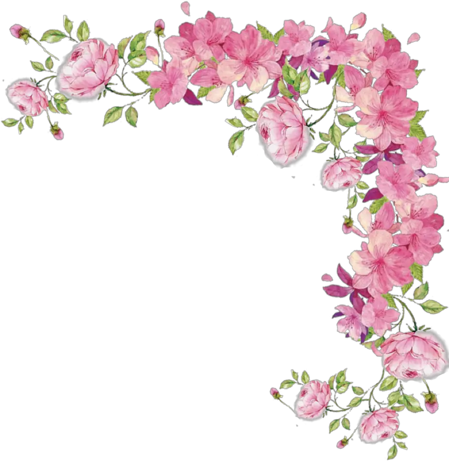 Pink Flowers Rose Transparent Background Floral Border