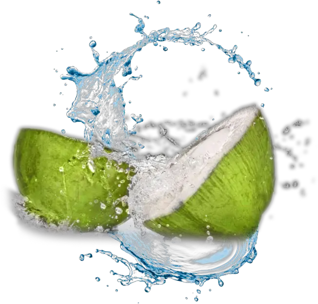 Coconut Water Transparent Background