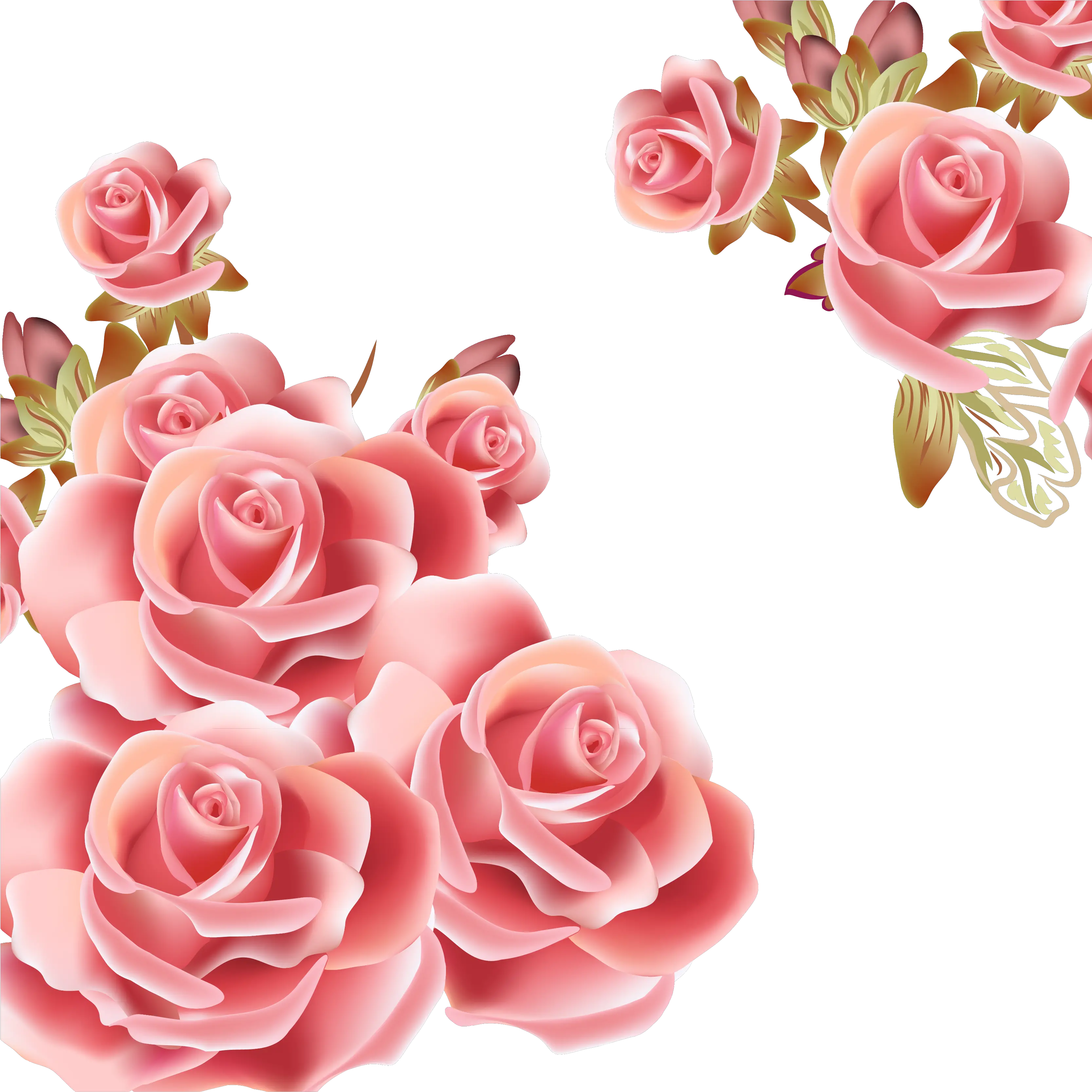 Flower Rose Pink Clip Art Rose Gold Roses Png