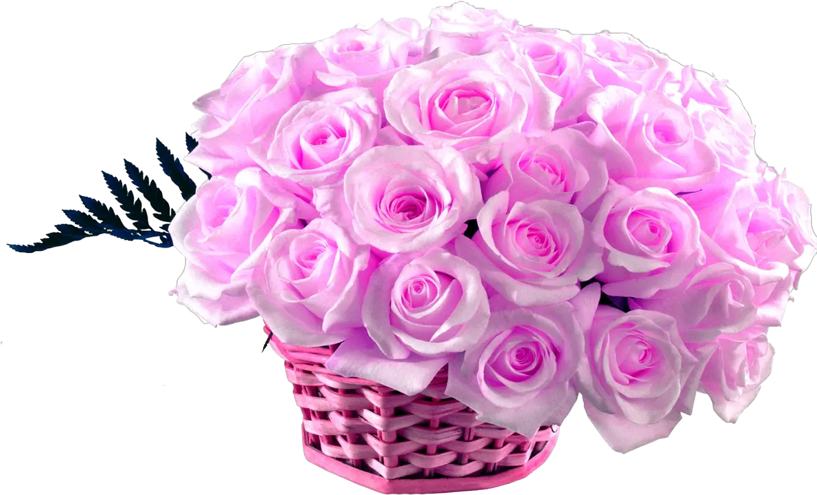 50 Pink Roses Basket Pink Rose Rose Hd Wallpaper Download